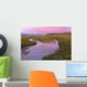 Sunset Light Reflecting Wall Decal