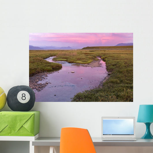 Sunset Light Reflecting Wall Decal