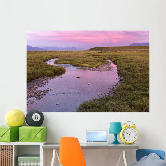 Sunset Light Reflecting Wall Decal