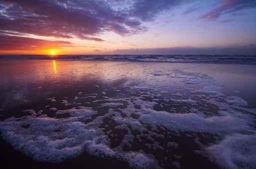 Sunset Beach Wall Decal