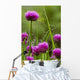 Dew Covered Spider Web Wall Decal