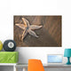 Starfish Beach Wall Decal Design 2