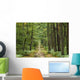 Forest Wall Decal Design 4
