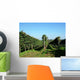 Weinreben Wall Decal