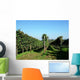 Weinreben Wall Decal