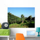 Weinreben Wall Decal