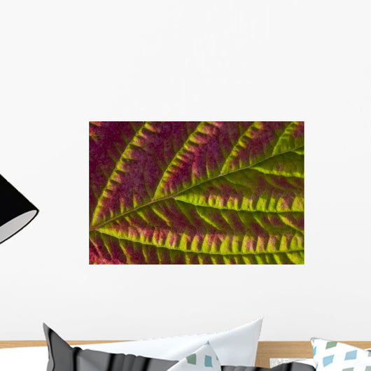 Macro Salmonberry Leaf Changing Wall Decal