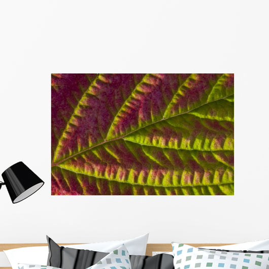 Macro Salmonberry Leaf Changing Wall Decal