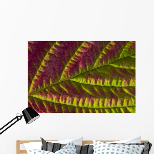 Macro Salmonberry Leaf Changing Wall Decal