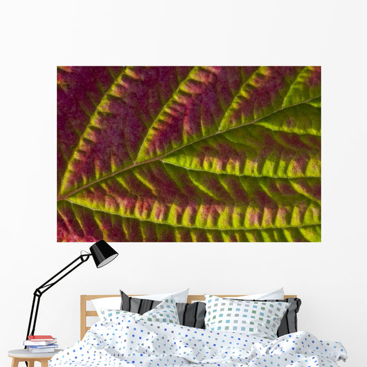 Macro Salmonberry Leaf Changing Wall Decal