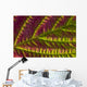 Macro Salmonberry Leaf Changing Wall Decal