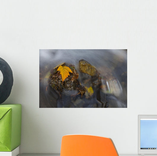 Yellow Salmonberry Leaf Clinging Wall Decal Design 1