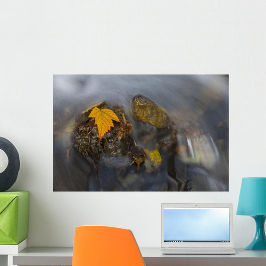 Yellow Salmonberry Leaf Clinging Wall Decal Design 1