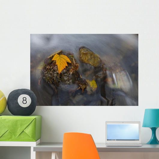 Yellow Salmonberry Leaf Clinging Wall Decal Design 1