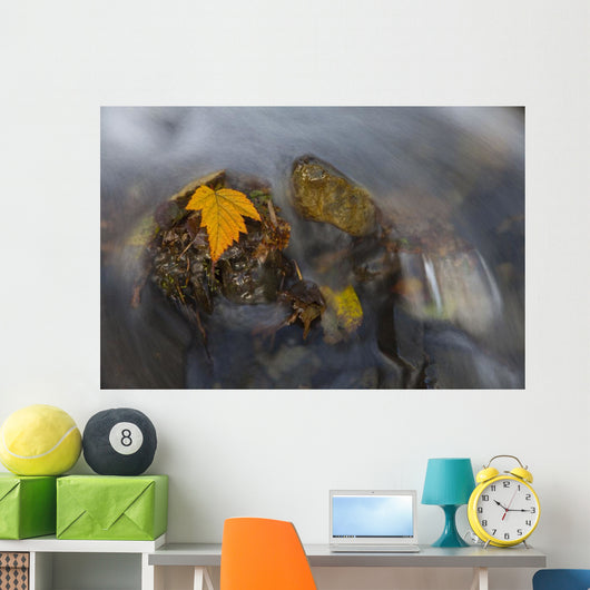 Yellow Salmonberry Leaf Clinging Wall Decal Design 1