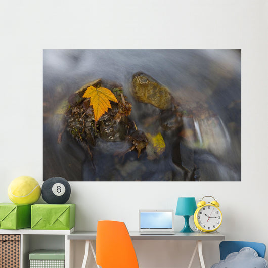 Yellow Salmonberry Leaf Clinging Wall Decal Design 1