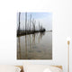 Reflets Des Parcs Huitres Wall Decal