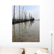 Reflets Des Parcs Huitres Wall Decal