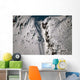 Person Snowboarding down Chute Wall Decal