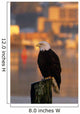 Bald Eagle Perched Piling Wall Decal