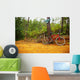 pair of mountain bikes on a trail Wall Mural