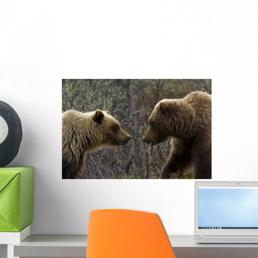 Sow and Cub Grizzly Wall Decal