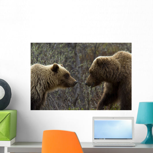 Sow and Cub Grizzly Wall Decal