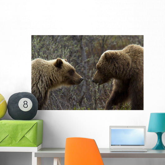 Sow and Cub Grizzly Wall Decal