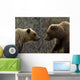 Sow and Cub Grizzly Wall Decal