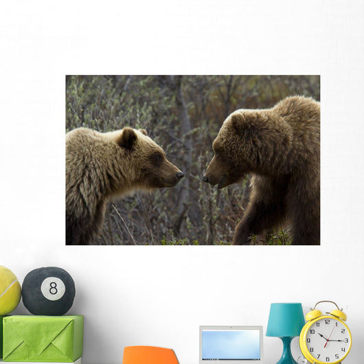 Sow and Cub Grizzly Wall Decal