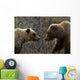 Sow and Cub Grizzly Wall Decal