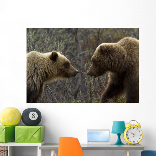 Sow and Cub Grizzly Wall Decal