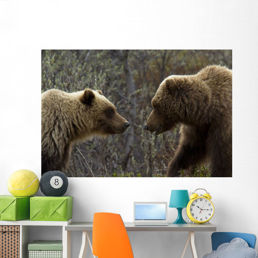 Sow and Cub Grizzly Wall Decal