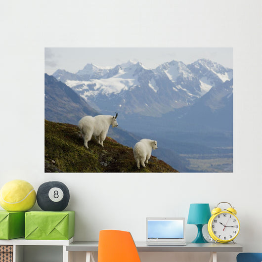 Nanny Kid Mountain Goat Wall Decal