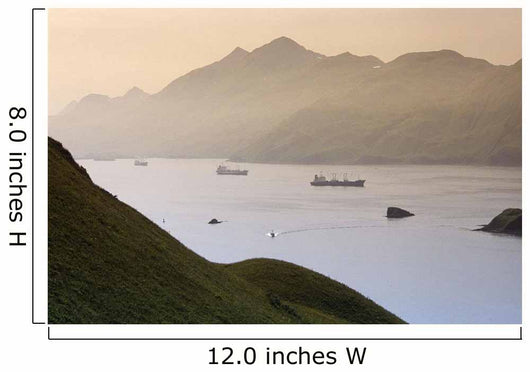 Commercial Ships Anchored Wall Decal