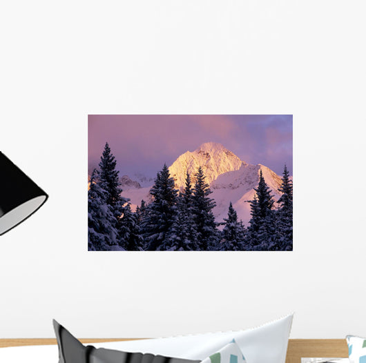 Chugach Mtns Bathed Alpenglow Wall Decal
