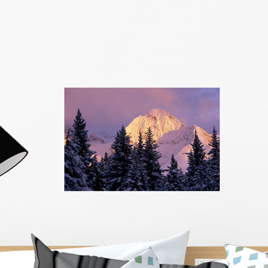 Chugach Mtns Bathed Alpenglow Wall Decal