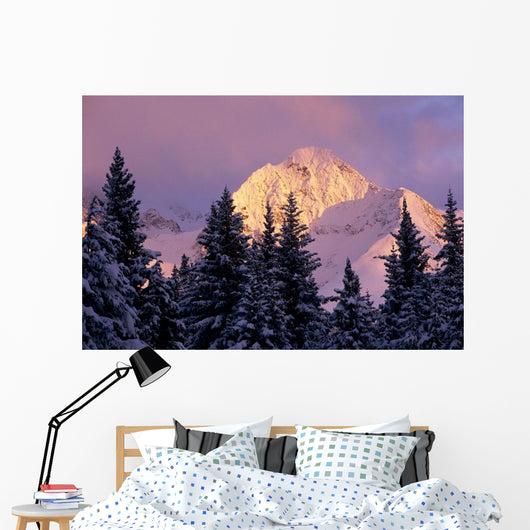 Chugach Mtns Bathed Alpenglow Wall Decal