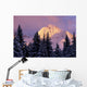Chugach Mtns Bathed Alpenglow Wall Decal