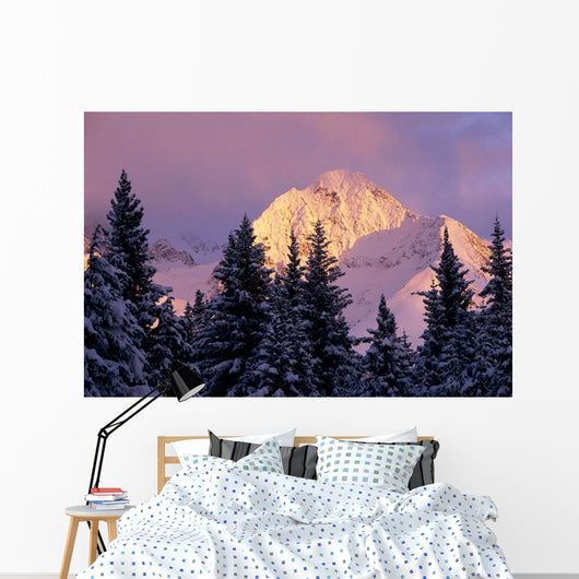 Chugach Mtns Bathed Alpenglow Wall Decal
