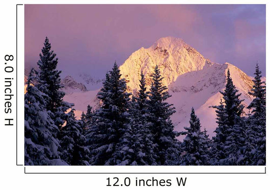 Chugach Mtns Bathed Alpenglow Wall Decal
