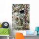 Black Bear Cub up Wall Decal