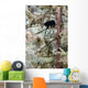 Black Bear Cub up Wall Decal