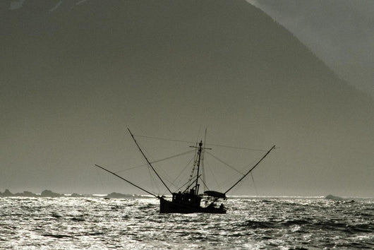 Silhouetted Salmon Troller Fishing Wall Decal