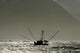 Silhouetted Salmon Troller Fishing Wall Decal