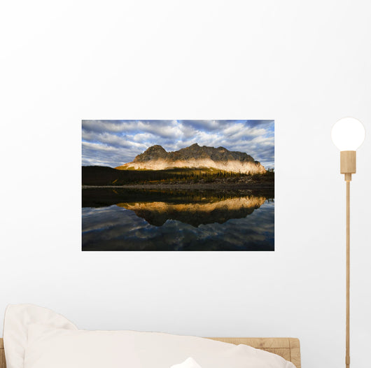 Late Afternoon Light Sukakpak Wall Decal