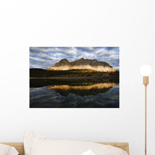 Late Afternoon Light Sukakpak Wall Decal