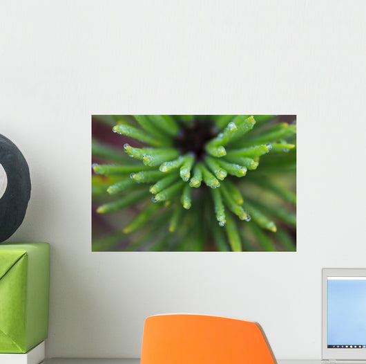 Up Water Droplets Tips Wall Decal