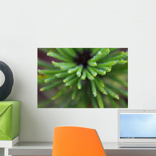 Up Water Droplets Tips Wall Decal