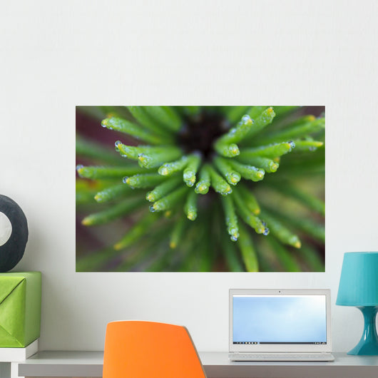 Up Water Droplets Tips Wall Decal